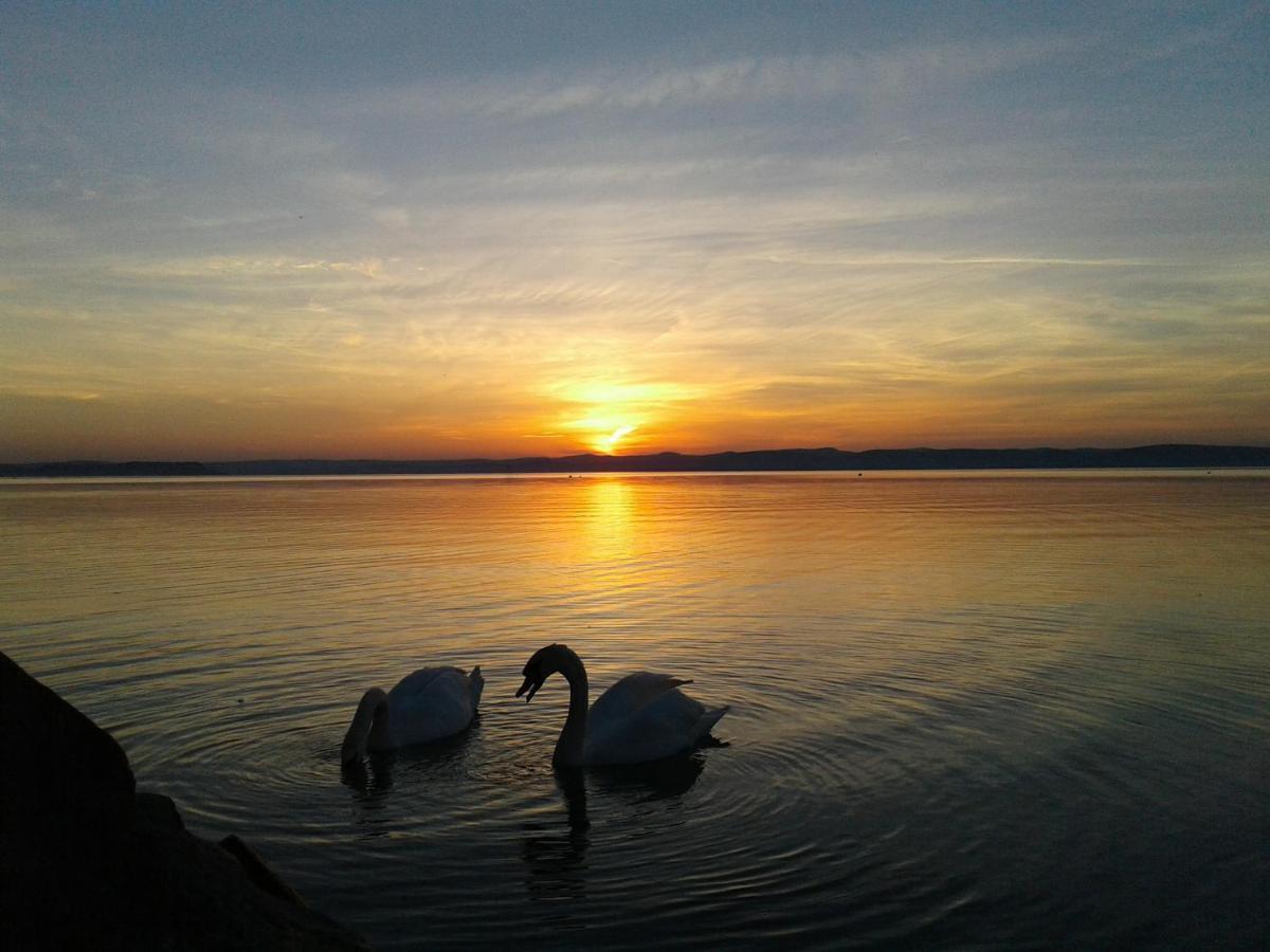 Balaton Wellness Apartman Siófok Extérieur photo